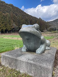 むカエル