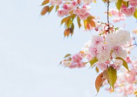 ご相談ください